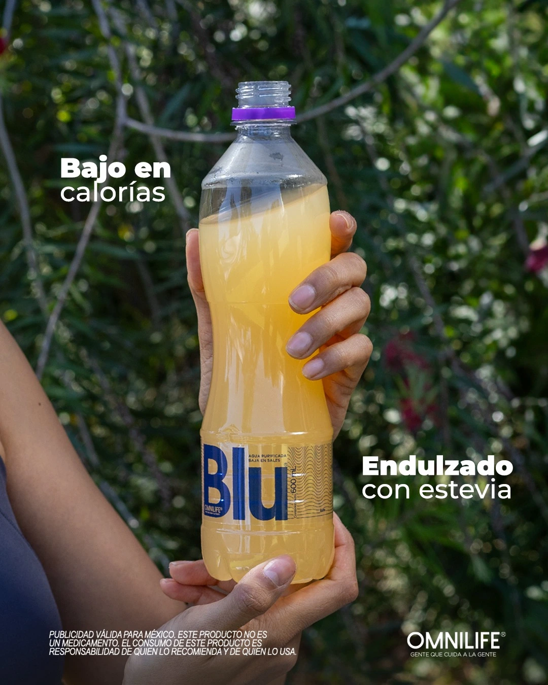 Bajo en calorias, Endulzado con estevia