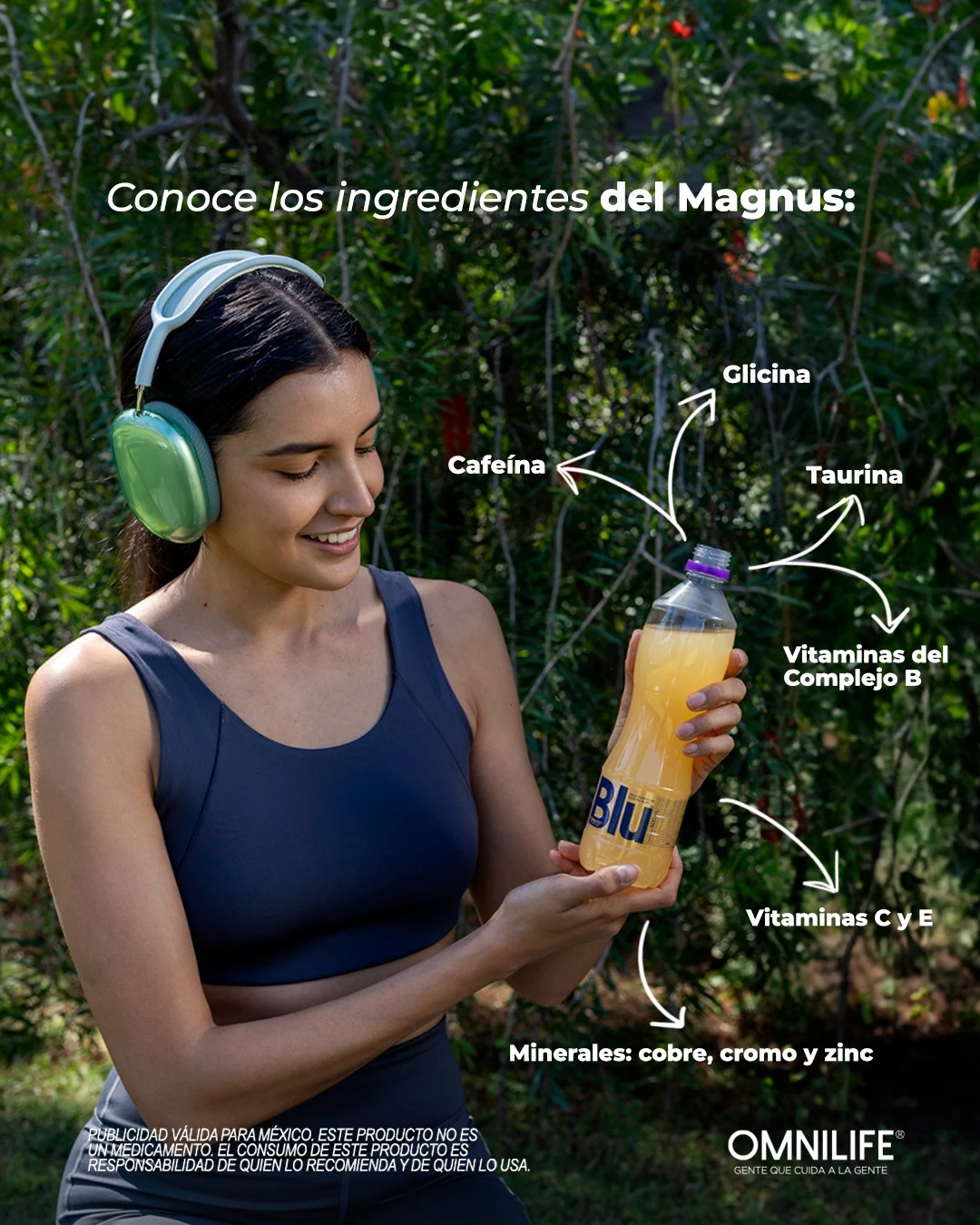 Principales ingredientes